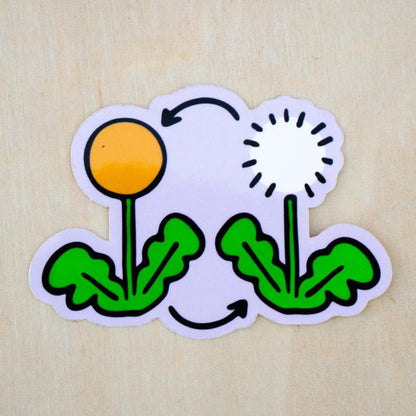 Lifecycle of a Dandelion Sticker