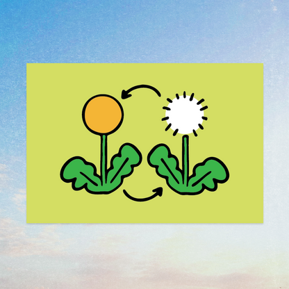 Lifecycle of a Dandelion Art Print
