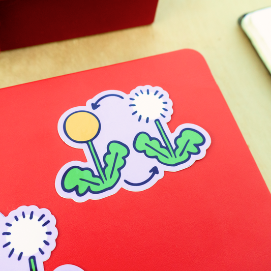 Lifecycle of a Dandelion Sticker